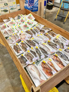 お魚カーニバル　10月18日