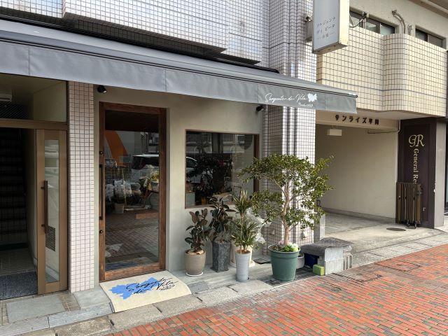 写真